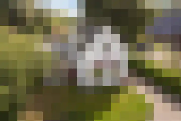 Suderbuorren 3 Hempens thumbnail 40