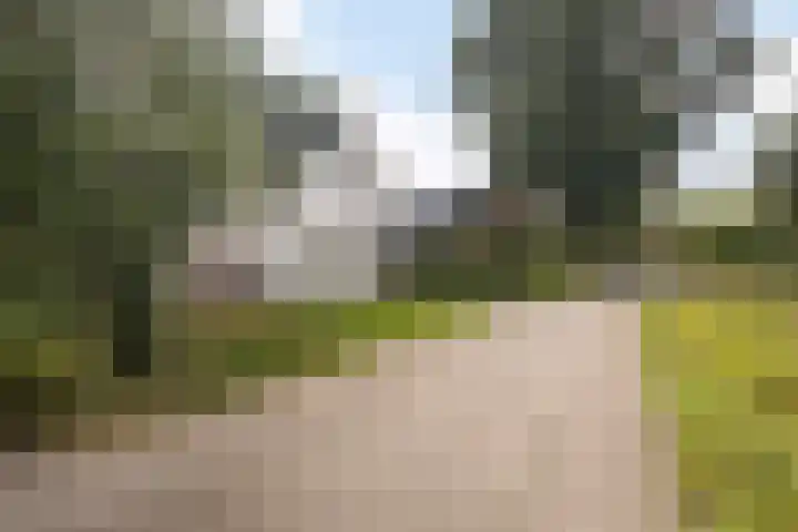 Suderbuorren 3 Hempens thumbnail 42