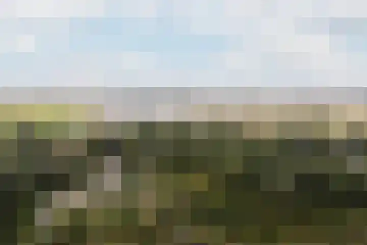 Suderbuorren 3 Hempens thumbnail 45