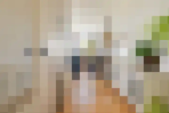 Suderbuorren 3 Hempens thumbnail 9