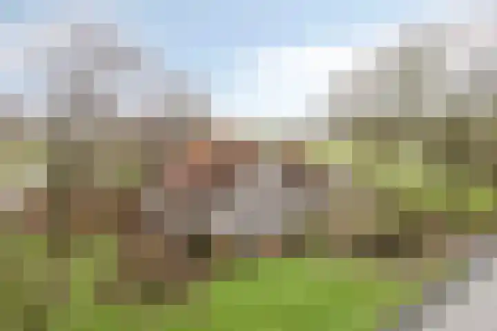 Suderein 18 in Tytsjerk
