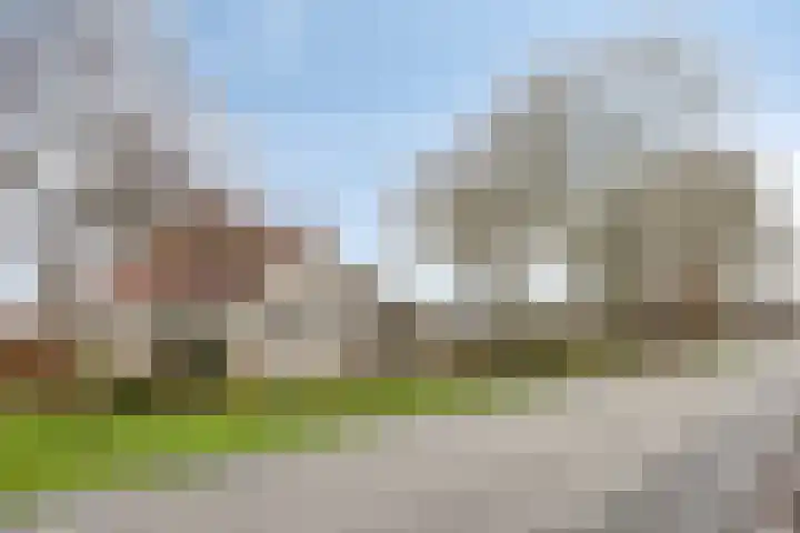 Suderein 18 Tytsjerk thumbnail 11
