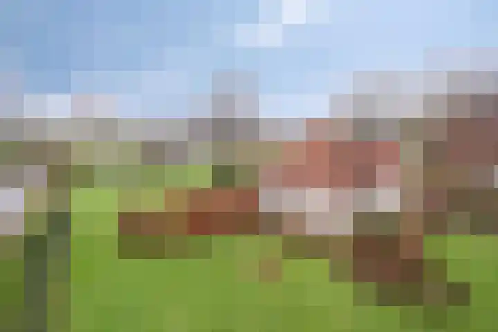 Suderein 18 Tytsjerk thumbnail 12