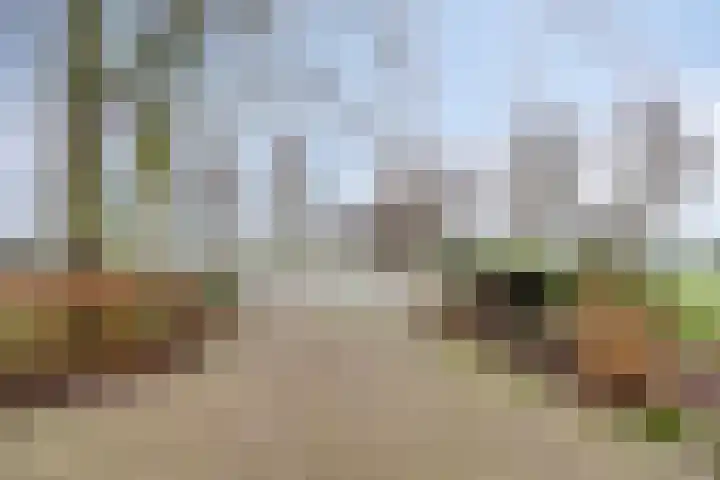 Suderein 18 Tytsjerk thumbnail 14