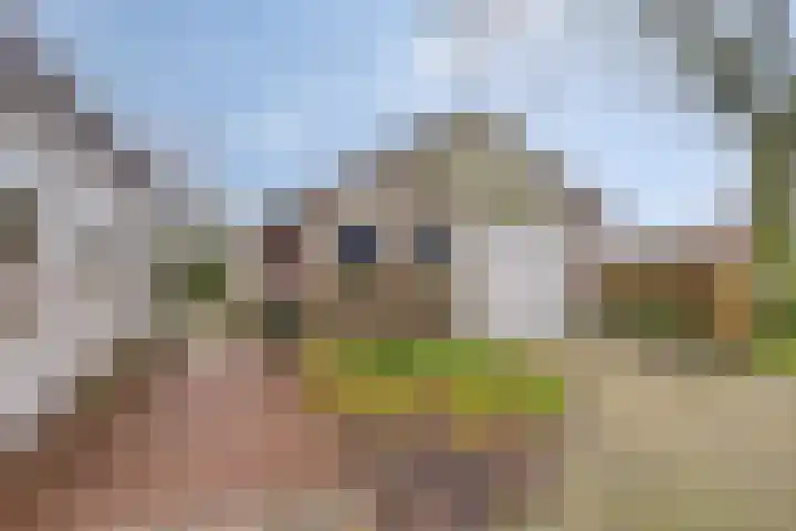 Suderein 18 Tytsjerk thumbnail 15