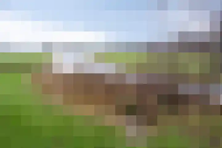 Suderein 18 Tytsjerk thumbnail 18