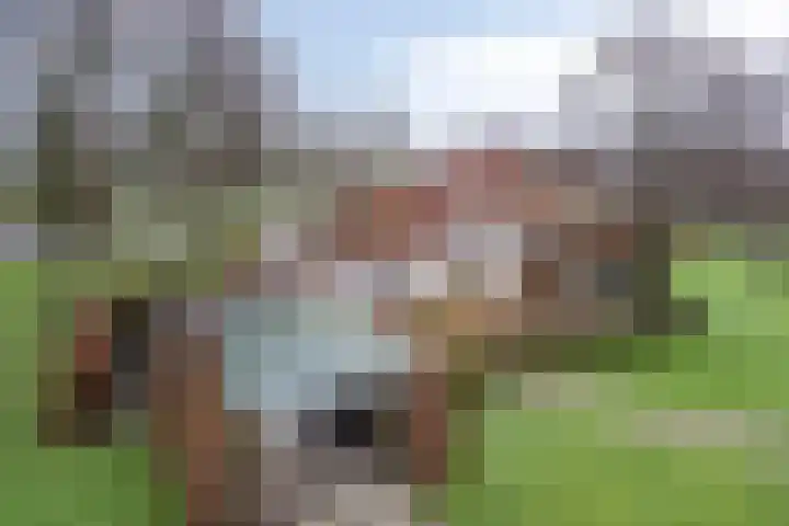 Suderein 18 Tytsjerk thumbnail 19