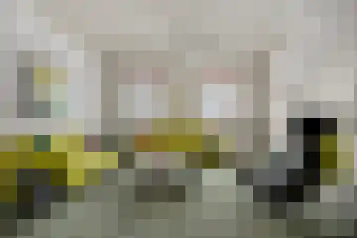 Suderein 18 Tytsjerk foto 2