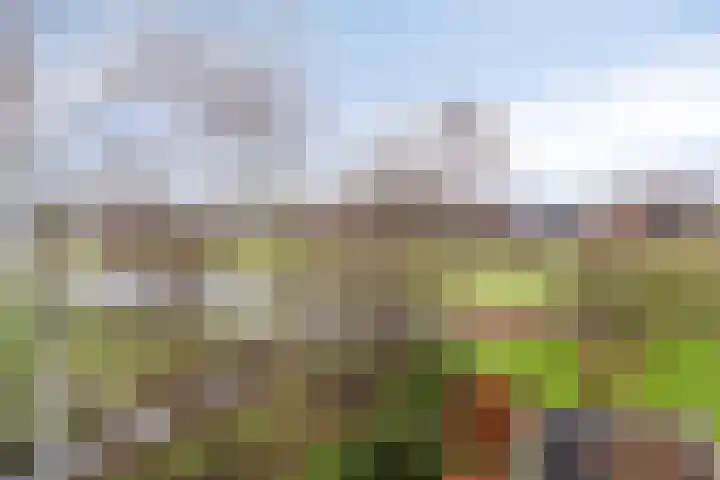 Suderein 18 Tytsjerk thumbnail 21