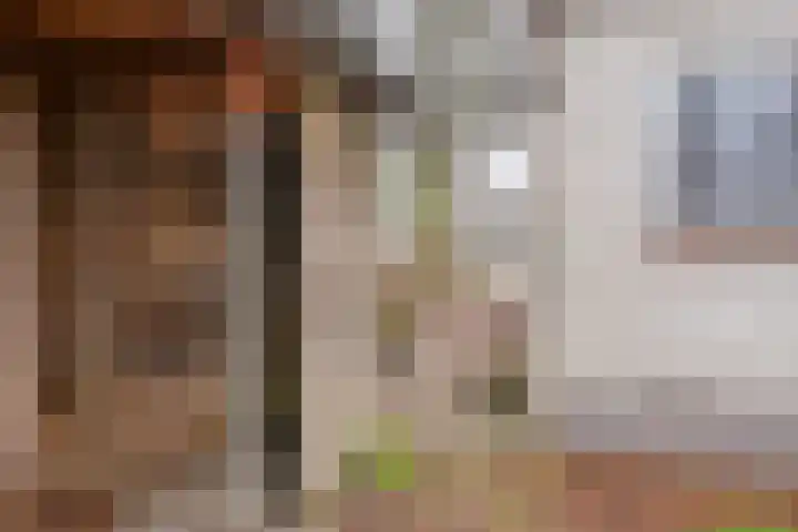 Suderein 18 Tytsjerk thumbnail 22