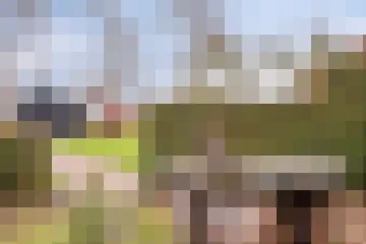 Suderein 18 Tytsjerk thumbnail 23