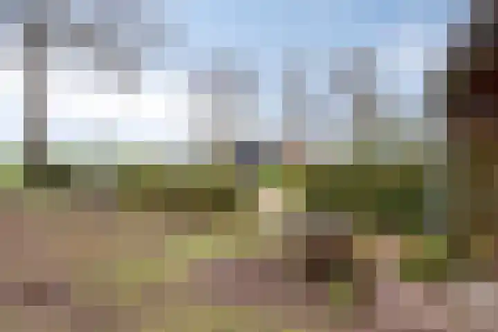 Suderein 18 Tytsjerk thumbnail 24