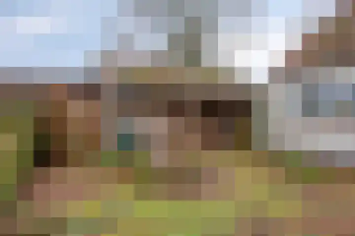 Suderein 18 Tytsjerk thumbnail 25
