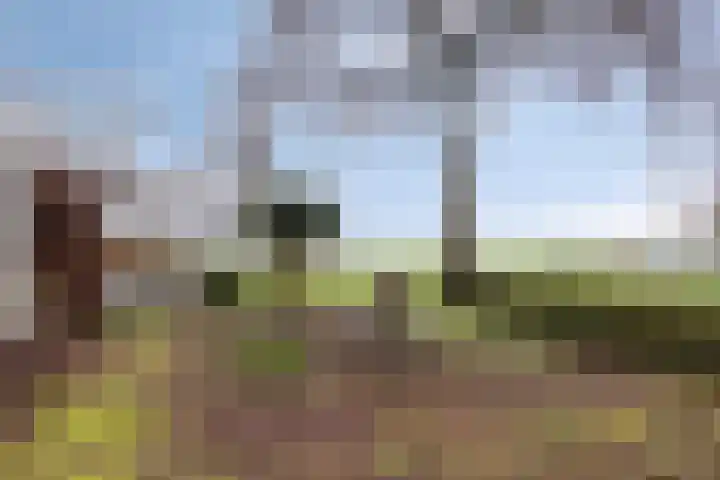 Suderein 18 Tytsjerk thumbnail 26