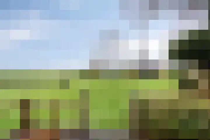 Suderein 18 Tytsjerk thumbnail 28