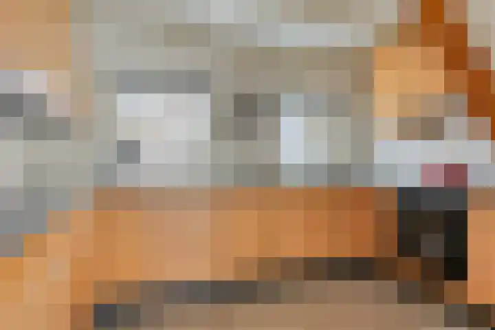 Suderein 18 Tytsjerk foto 3