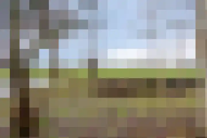 Suderein 18 Tytsjerk thumbnail 30