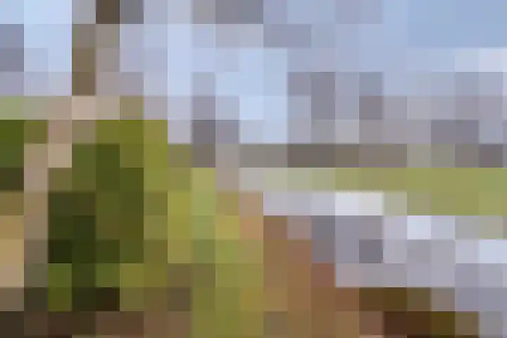 Suderein 18 Tytsjerk thumbnail 31