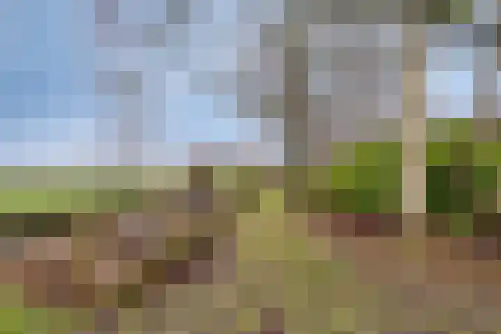 Suderein 18 Tytsjerk thumbnail 32