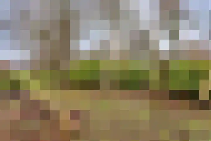 Suderein 18 Tytsjerk thumbnail 34