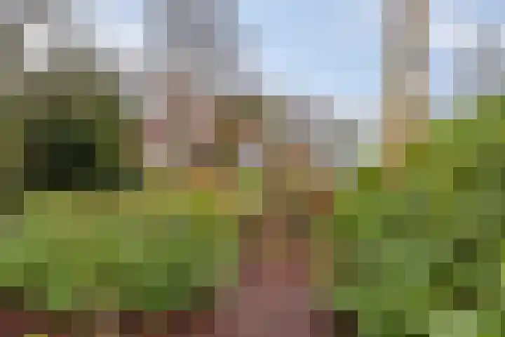 Suderein 18 Tytsjerk thumbnail 35
