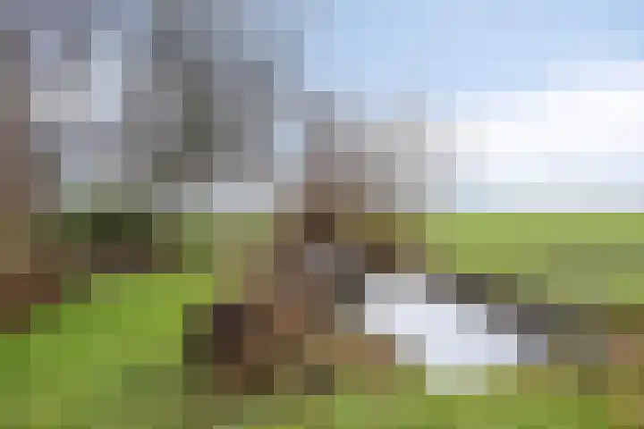 Suderein 18 Tytsjerk thumbnail 36