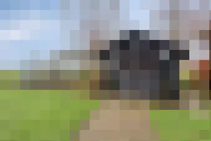 Suderein 18 Tytsjerk thumbnail 38