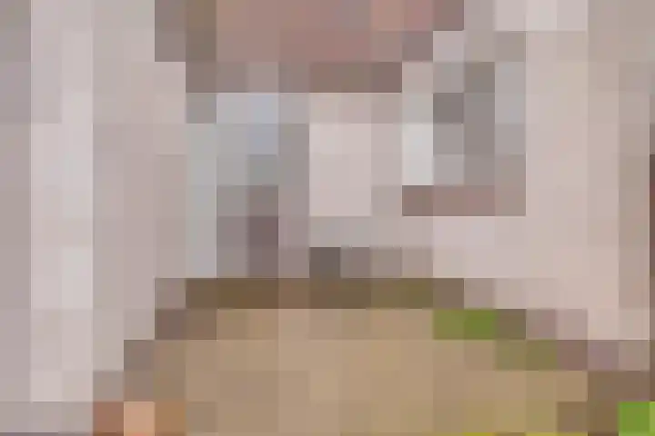 Suderein 18 Tytsjerk thumbnail 40