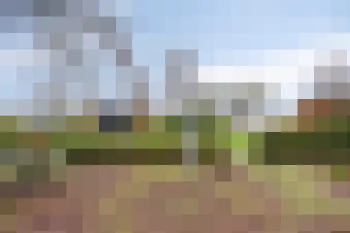 Suderein 18 Tytsjerk thumbnail 41