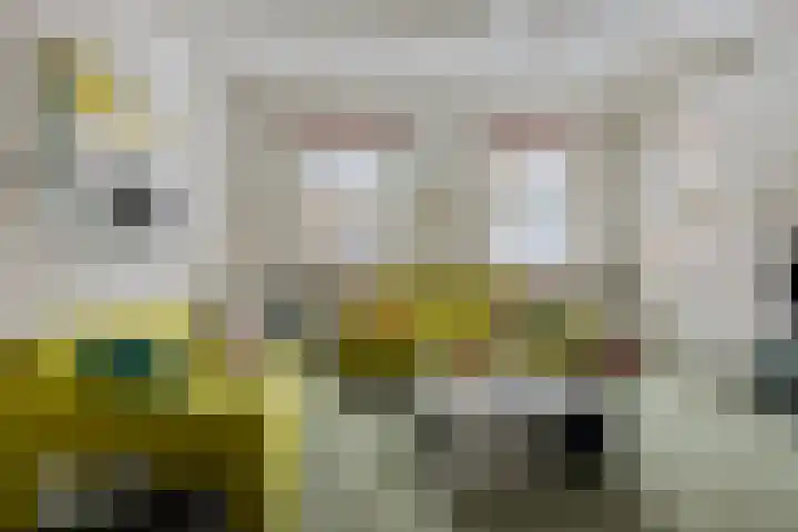 Suderein 18 Tytsjerk thumbnail 44