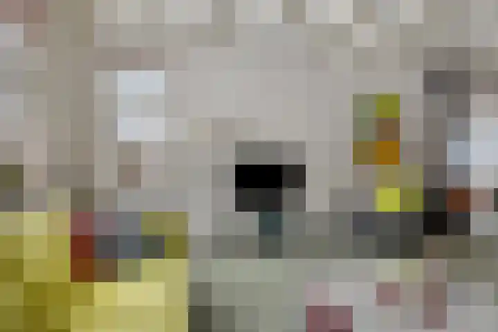 Suderein 18 Tytsjerk thumbnail 45