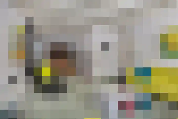 Suderein 18 Tytsjerk thumbnail 46