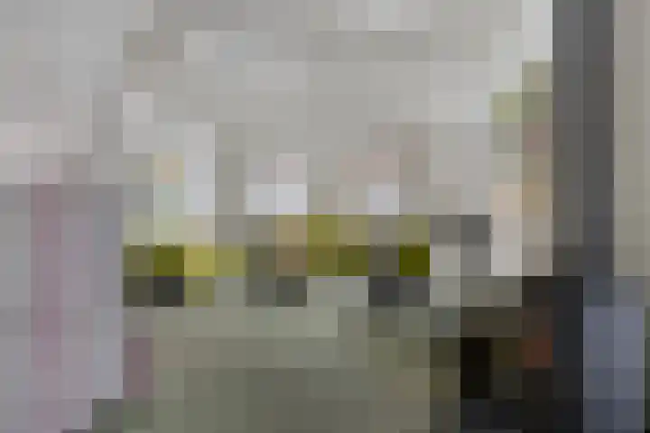 Suderein 18 Tytsjerk thumbnail 47