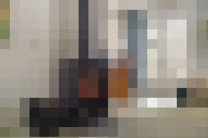 Suderein 18 Tytsjerk thumbnail 48