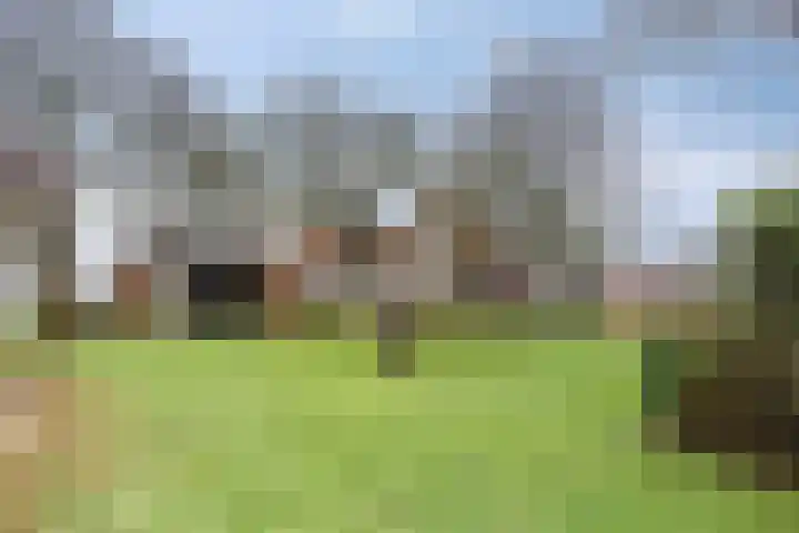 Suderein 18 Tytsjerk thumbnail 5