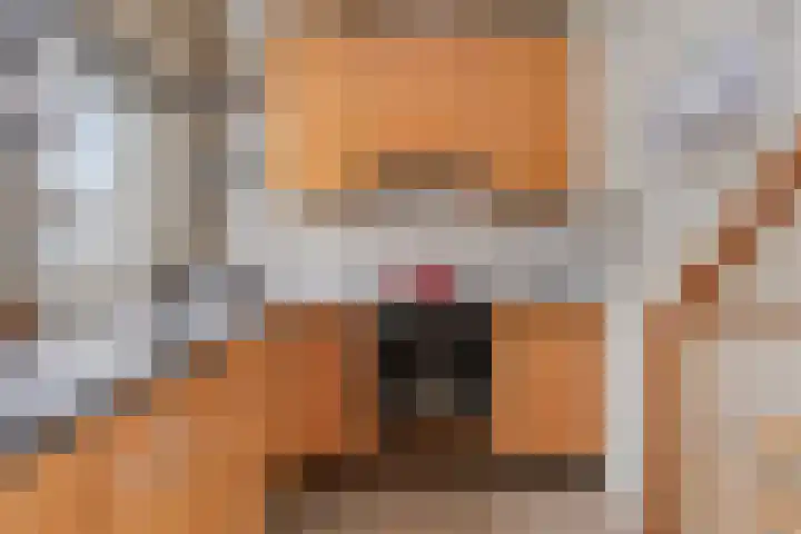 Suderein 18 Tytsjerk thumbnail 56
