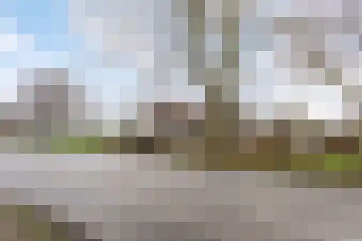 Suderein 18 Tytsjerk thumbnail 6