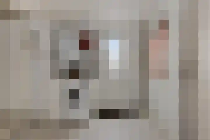 Suderein 18 Tytsjerk thumbnail 62