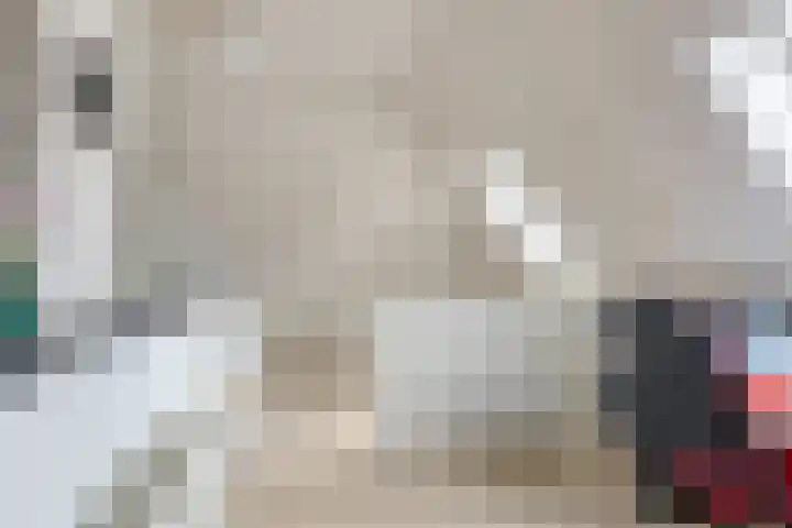 Suderein 18 Tytsjerk thumbnail 70