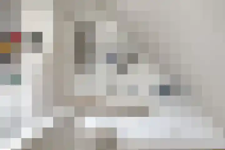 Suderein 18 Tytsjerk thumbnail 71