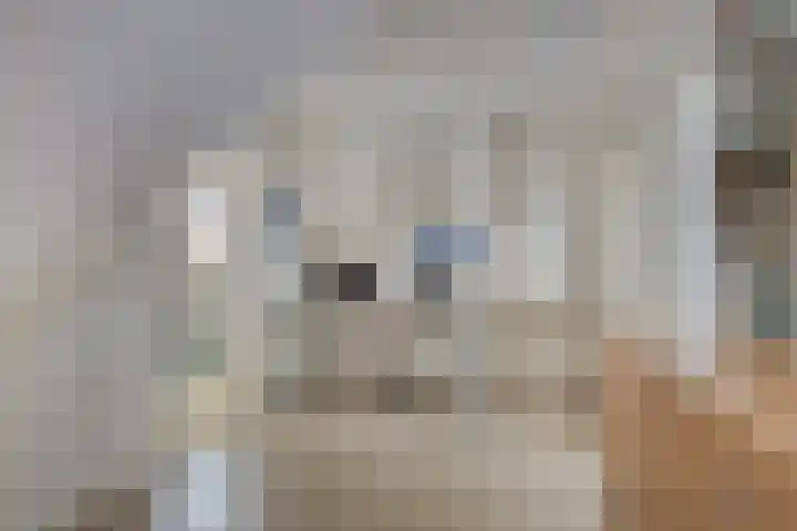 Suderein 18 Tytsjerk thumbnail 73