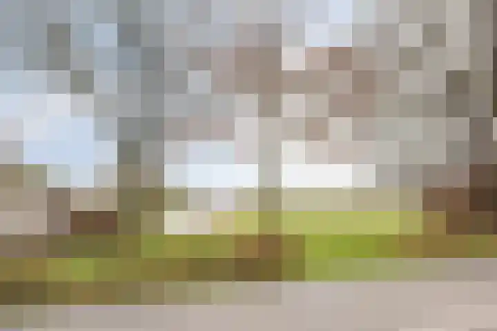 Suderein 18 Tytsjerk thumbnail 8