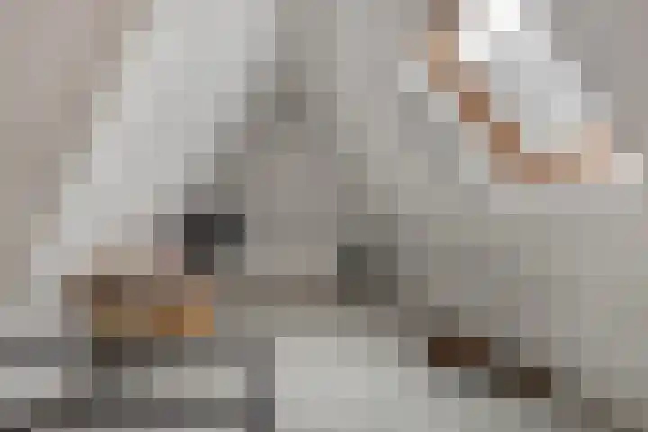 Suderein 18 Tytsjerk thumbnail 80
