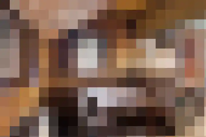 Suderein 52 Tytsjerk thumbnail 12