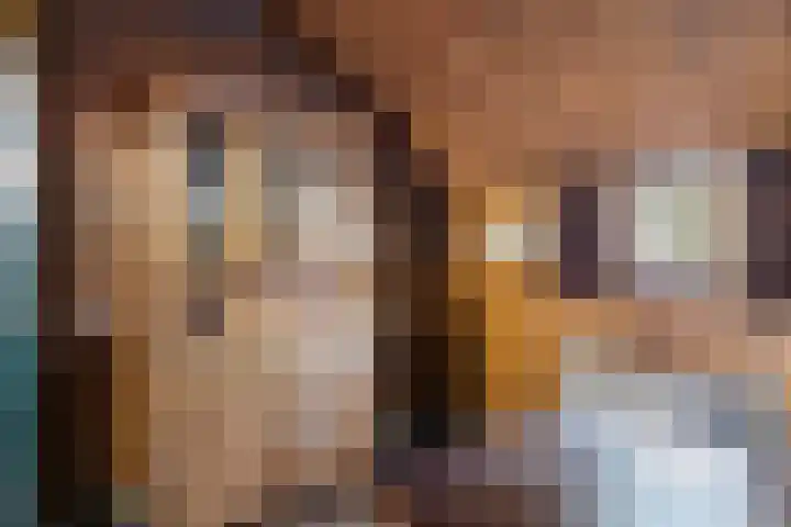 Suderein 52 Tytsjerk thumbnail 13