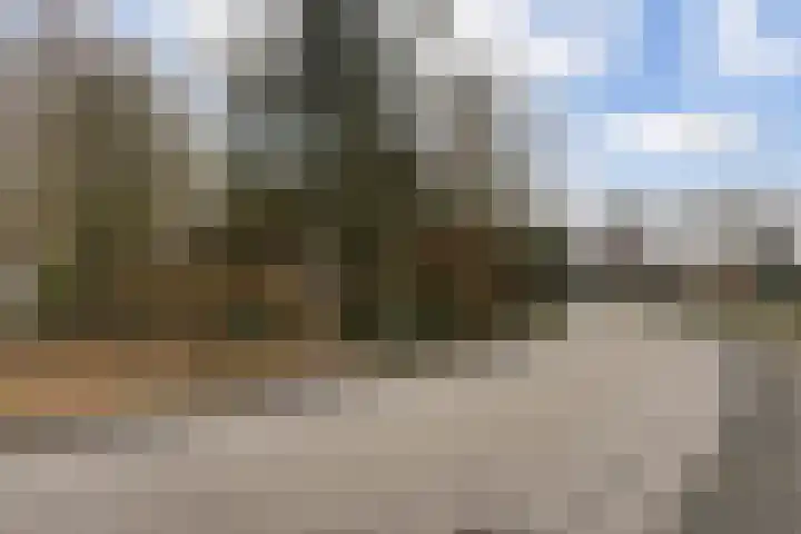 Suderein 52 Tytsjerk foto 2