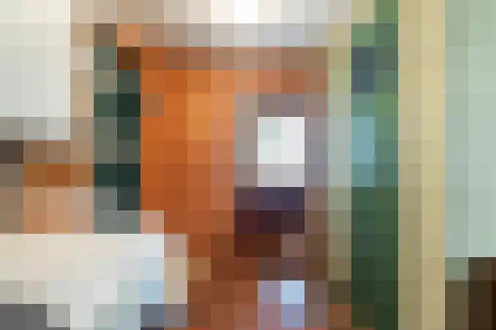 Suderein 52 Tytsjerk thumbnail 20