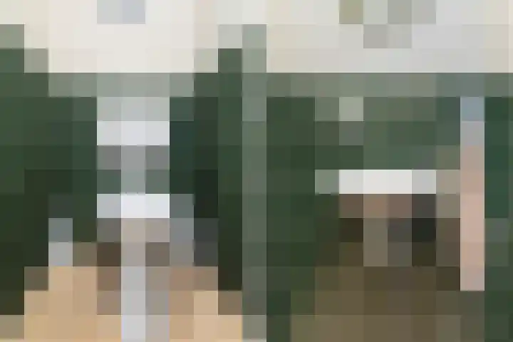 Suderein 52 Tytsjerk thumbnail 22