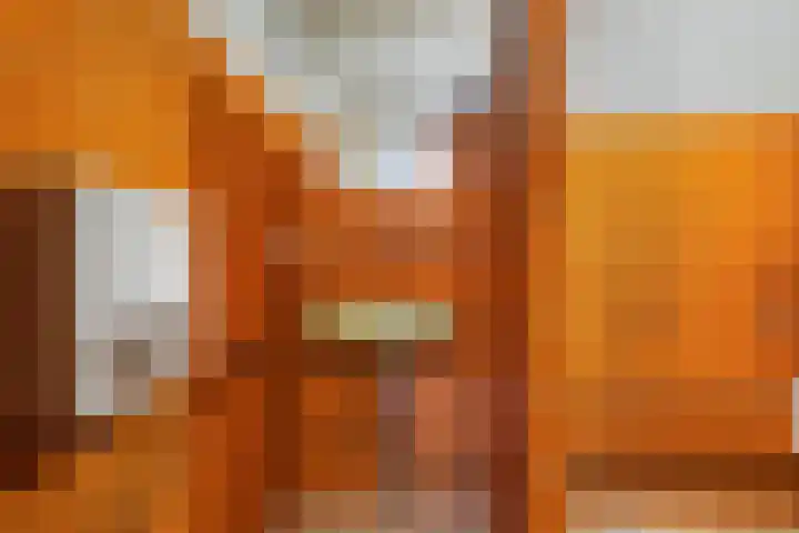 Suderein 52 Tytsjerk thumbnail 24