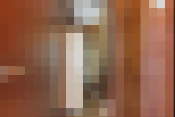 Suderein 52 Tytsjerk thumbnail 25